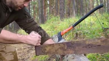 人在森林里锯木头.. 特写锯子和伐木工人手在户外砍树。 人类切割木头。